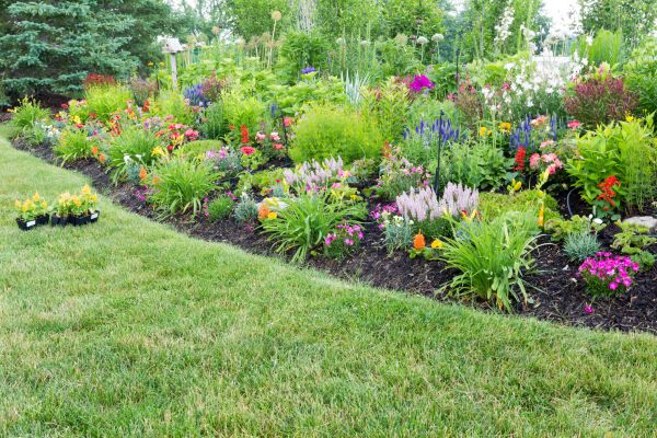 Backyard Garden Design