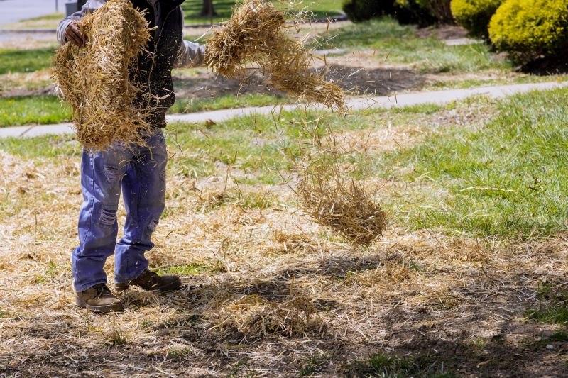 Pine Bark Mulch Installation in Honolulu, HI